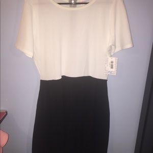 Amelia solid black and white